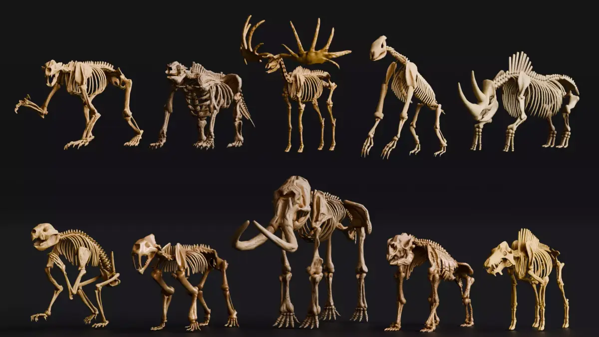 Realistic Mammals Fossil - Bundle Edition Low-poly 3D model