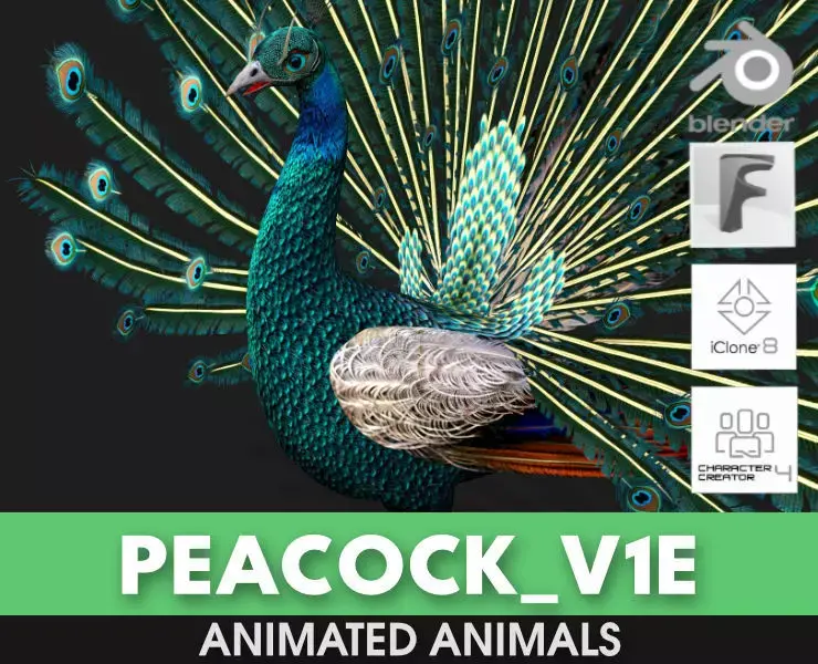 Peacock V1E 3D model
