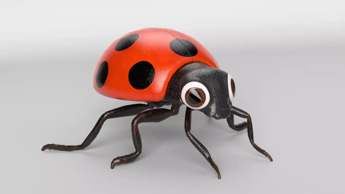 Cartoon Ladybug 3D model