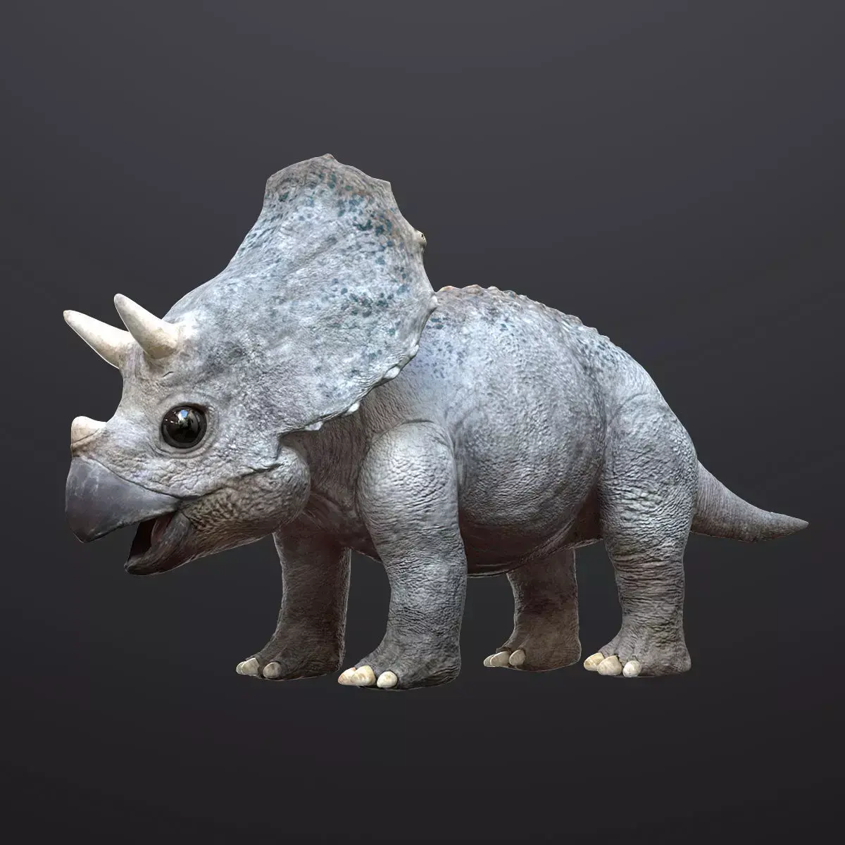 Triceratops Baby 3D Rigged model Low-poly 3D model