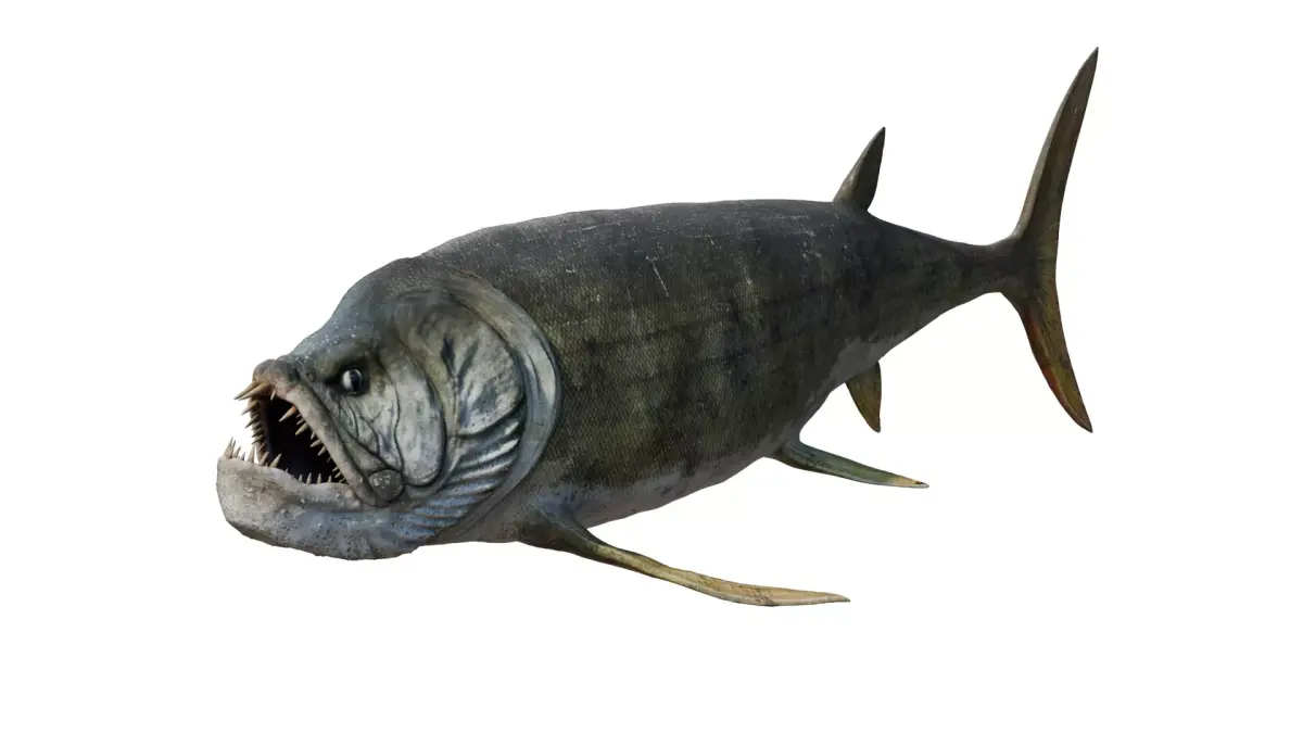 Xiphactinus 3D model