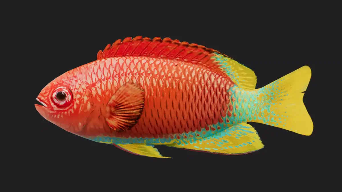 Snapper Low-poly 3D model 8