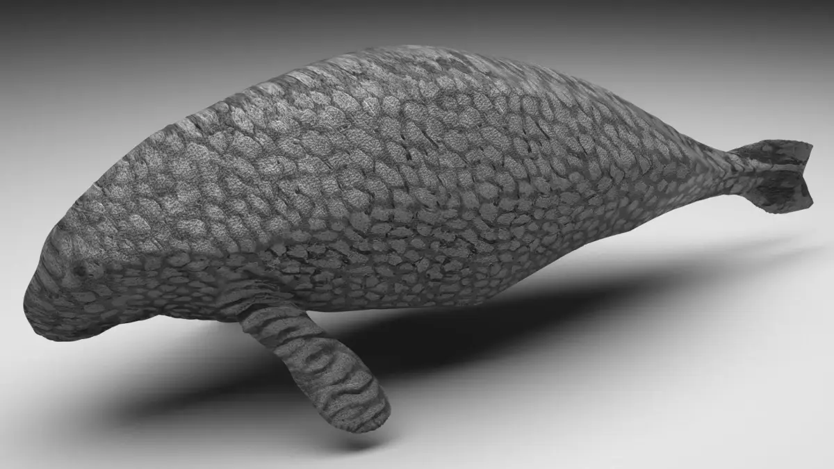 Sea Cow 3D model