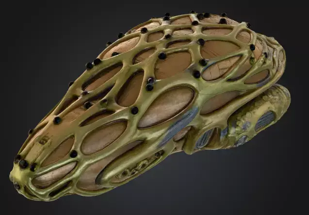 Forest exploration vehicle 3D print model