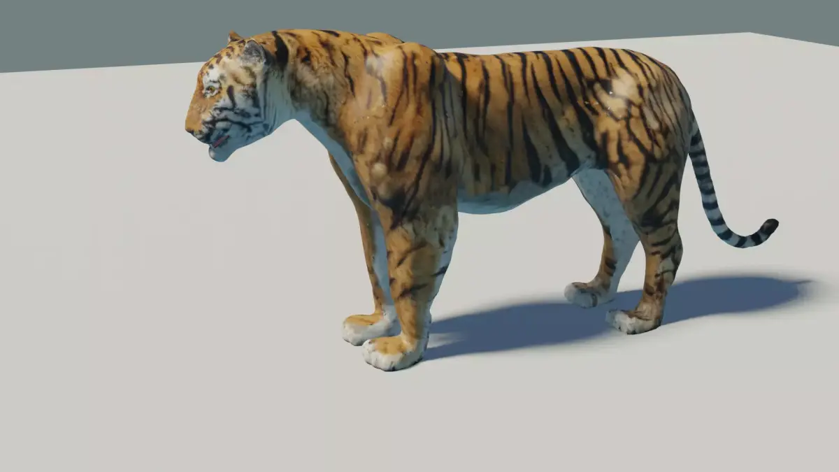 Tiger rigged 3D Model 3D model