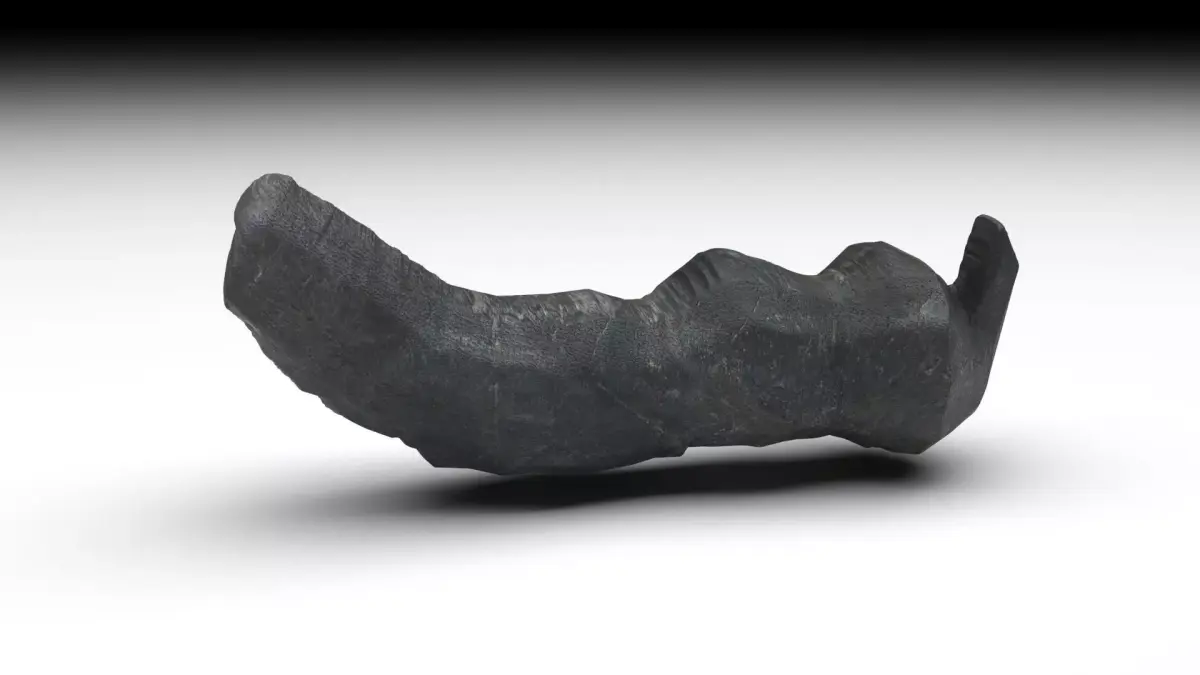 Dunkleosteus Tooth 3D model