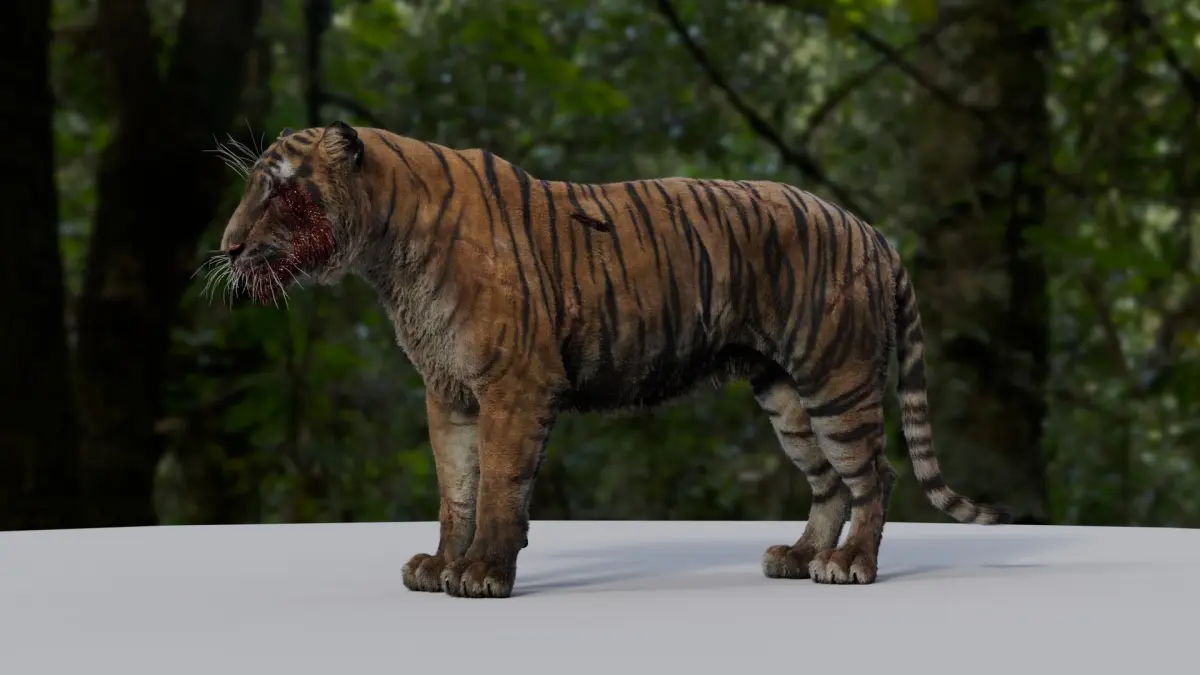  Tiger 