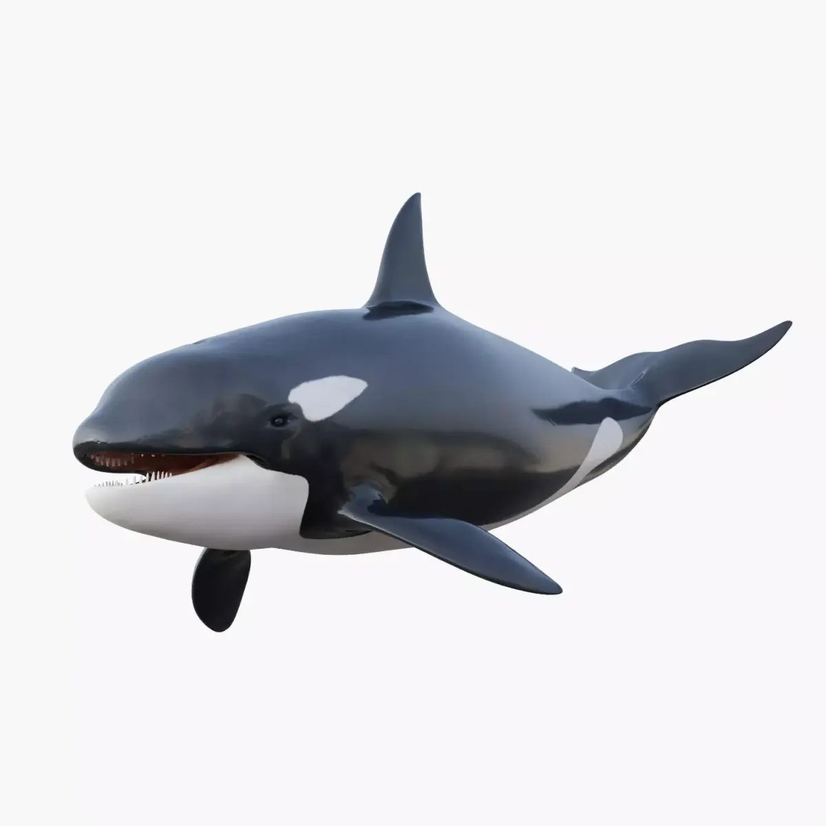 Killer Whale Animated 8K Low-poly 3D model