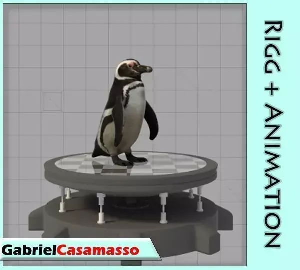 Magellanic Penguin Low-poly 3D model