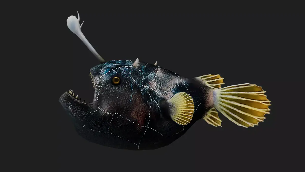 Monkfish Low-poly 3D model purchase