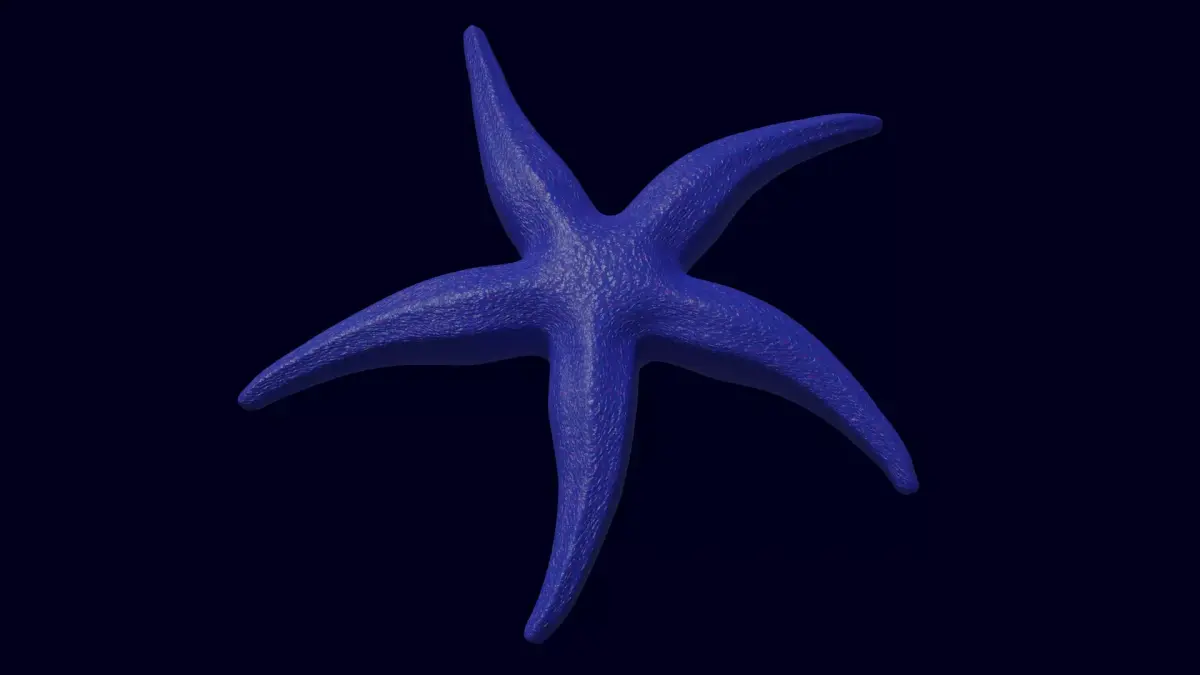 Starfish Sea star Asteroidea 3D model