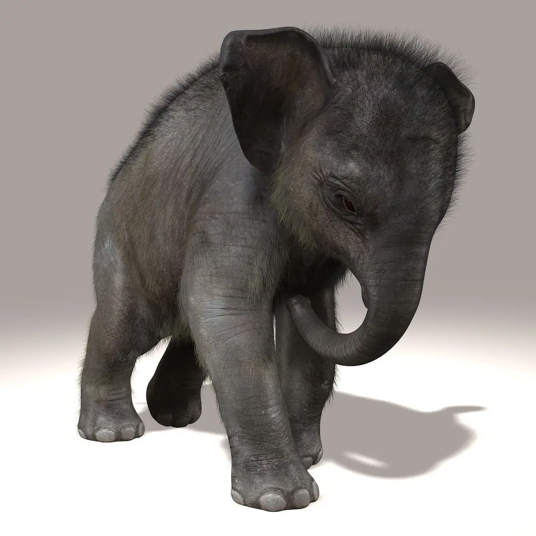 Elephant Calf (ANIMATED) (FUR) 3D model