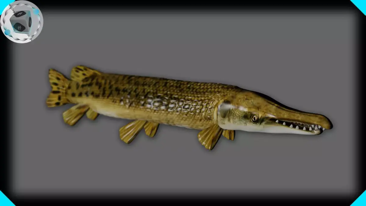 ALLIGATOR GAR 3D model