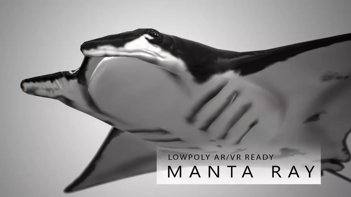 Manta Ray  Low-poly 3D model