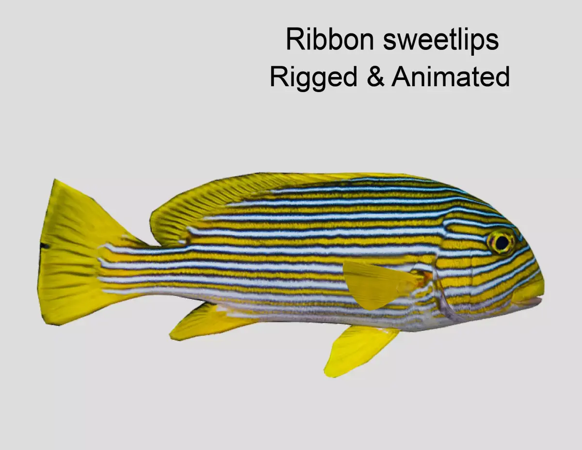 Ribbon sweetlips Low-poly 3D model purchase