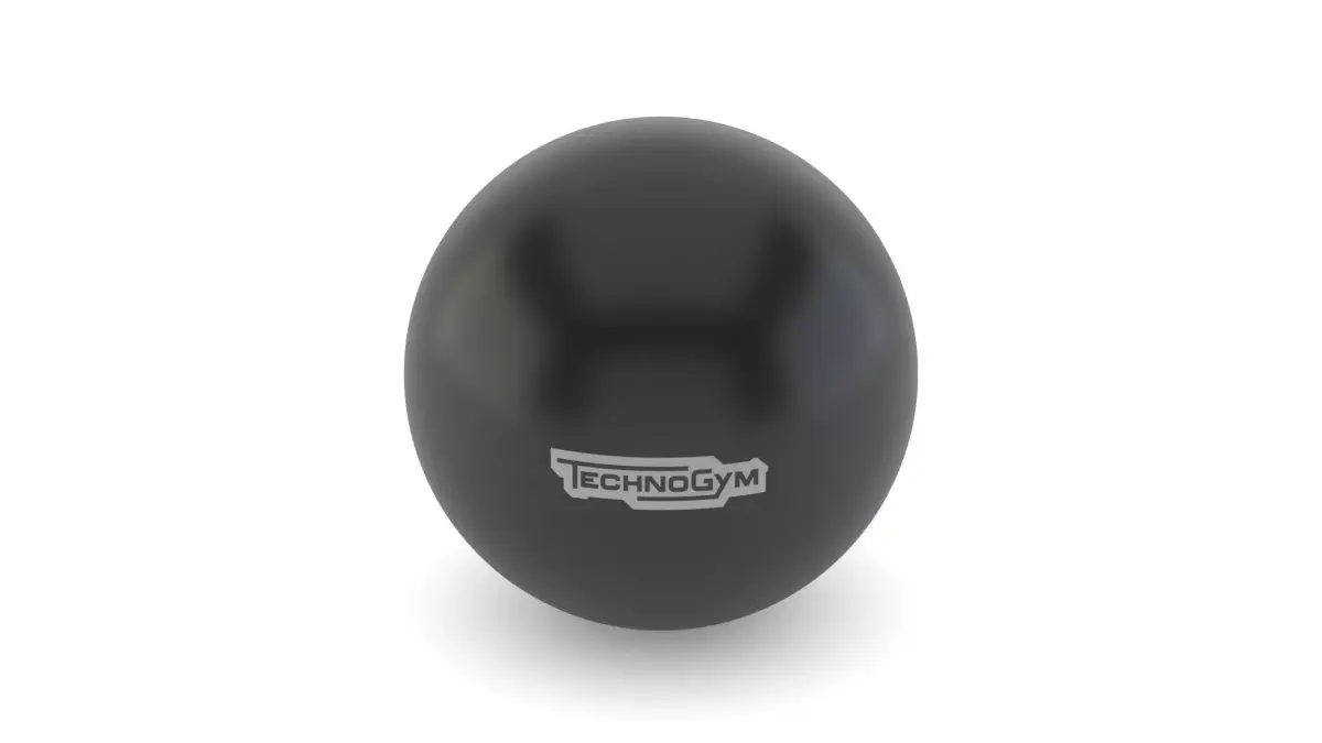 Technogym Accessories Wellness Ball 3D model