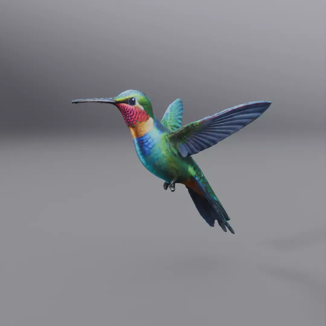 hummingbird 3D model buy