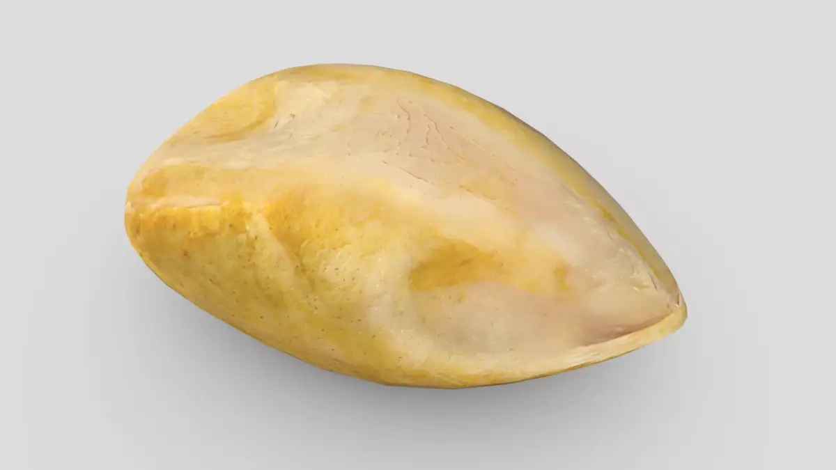 CC0 - Cooked Chicken Breast 2 Free low-poly 3D model