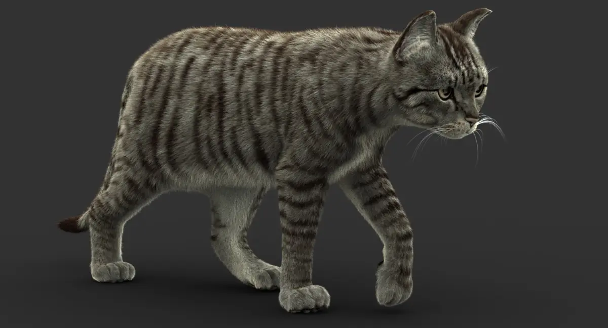 Cat (2) (Mackerel Tabby) (FUR) 3D model