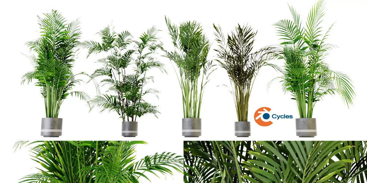 Collection plant vol 307 blender model Free 3D model