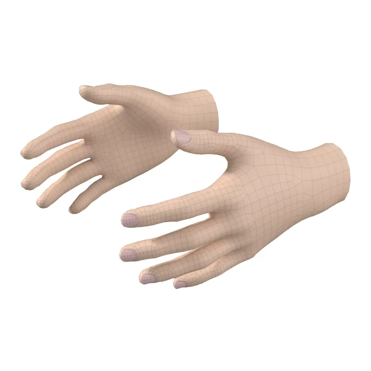 Female Hand Base Mesh 02 3D model