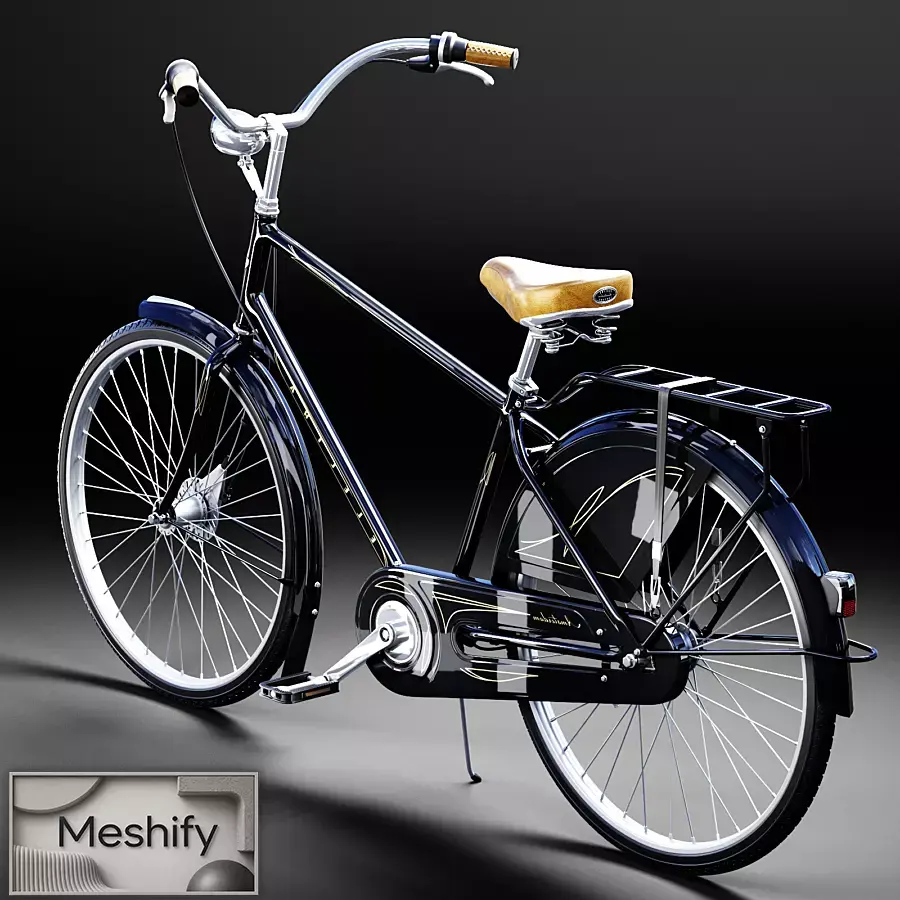 Electra Amsterdam Classic 3D model
