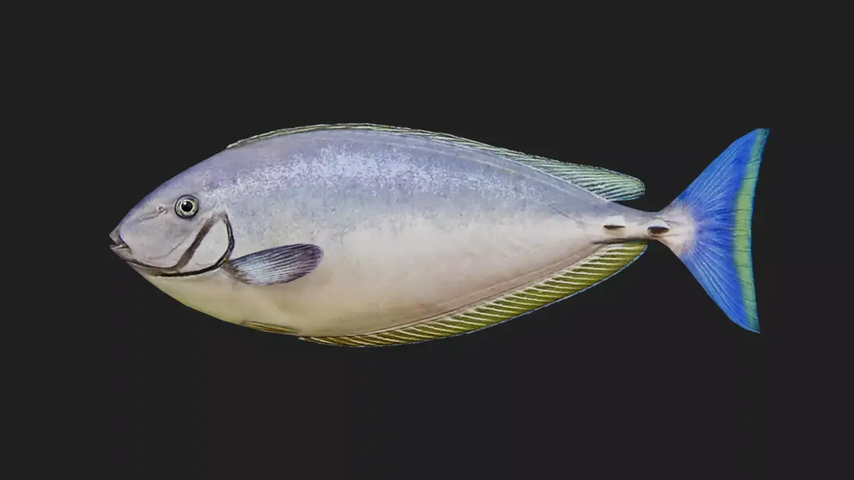 Unicornfish Low-poly 3D model