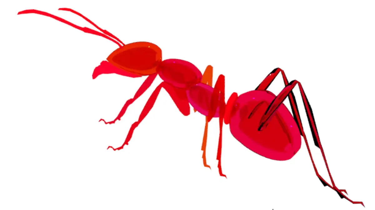 Insect ant 3D model