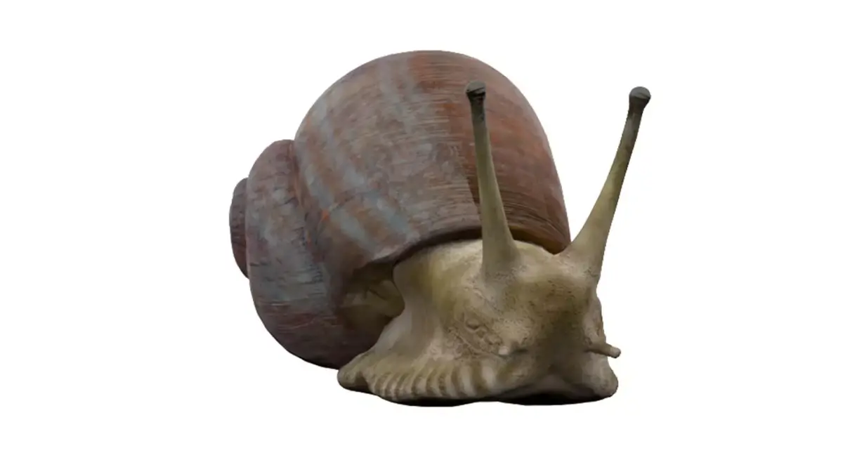 Snail Low-poly 3D model get