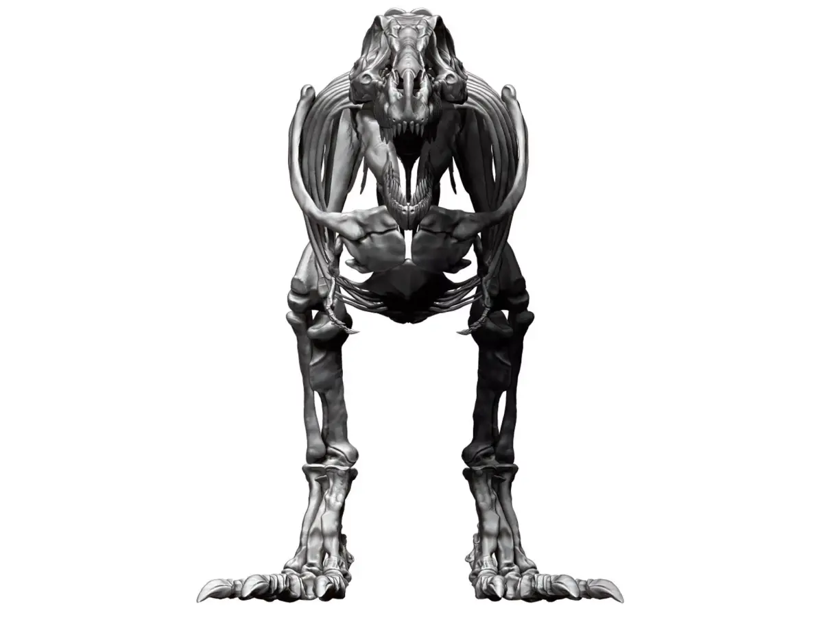 Dinosaur Tarbosaurus Bataar Full Set  3D model