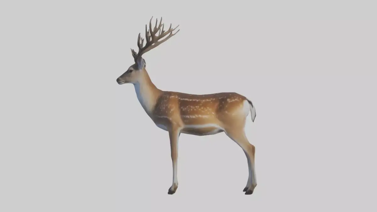 Fallow deer Low-poly 3D model