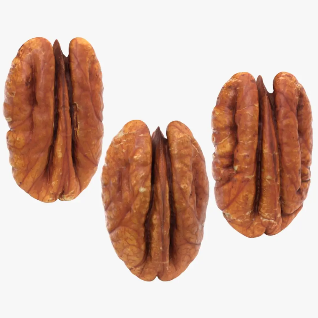 Pecan - 3D Scanned Collection 3D model