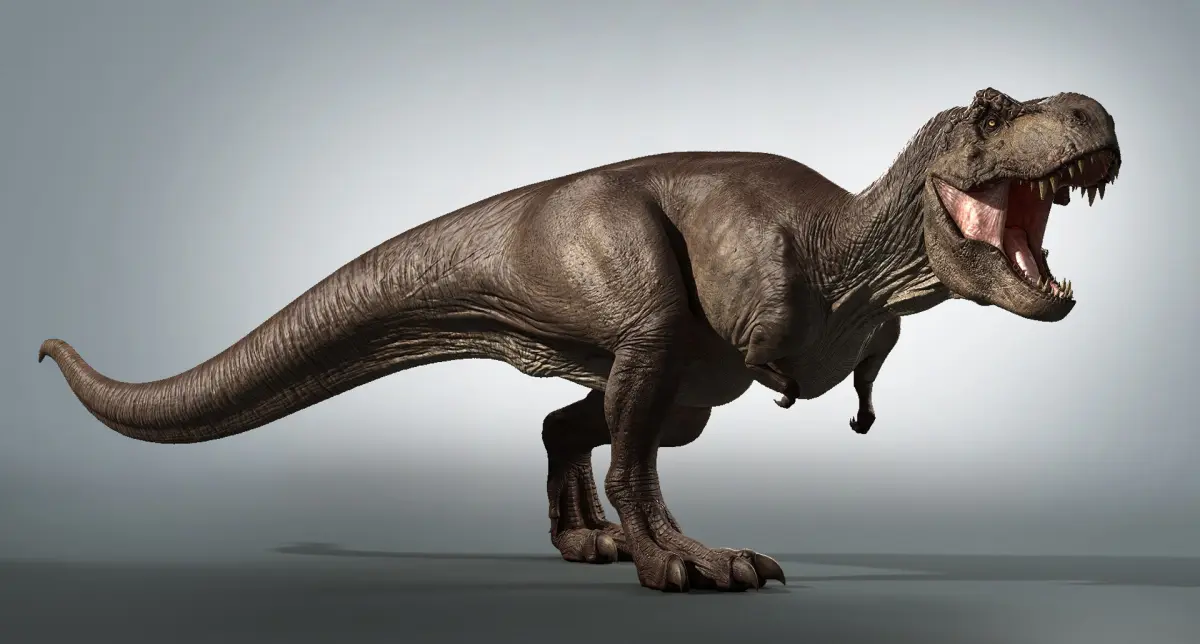 T-rex in Zbrush 3D model