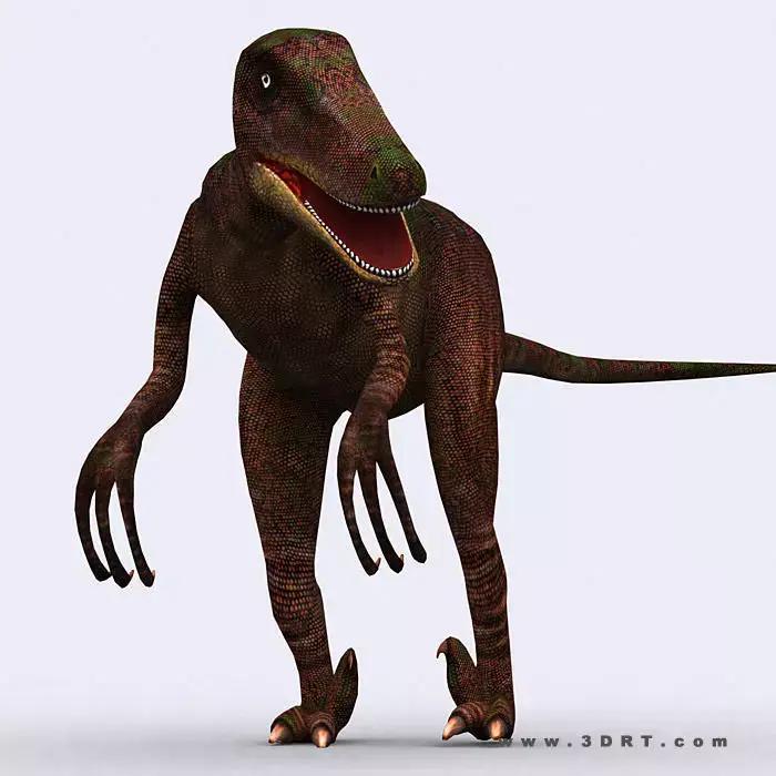 3DRT - Dinosaurs - Velociraptor Low-poly 3D model