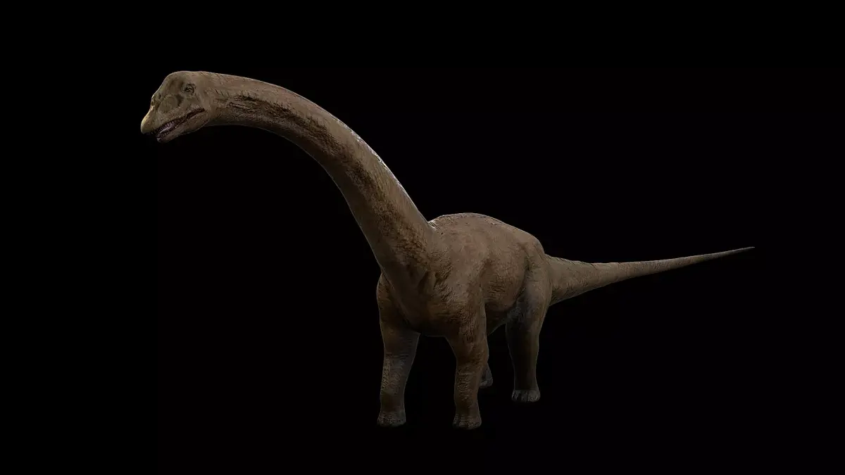 Sauropoda - Long Neck Dinosaur Low-poly 3D model