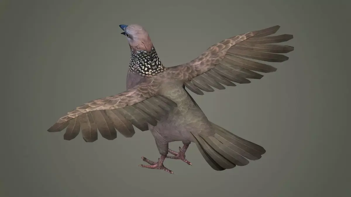 sparrow falcon eagle jay stork pelican swan 3D model