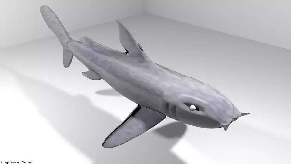 Shark - Bullshark 3D model