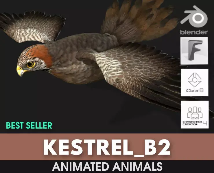 Kestrel B2 3D model
