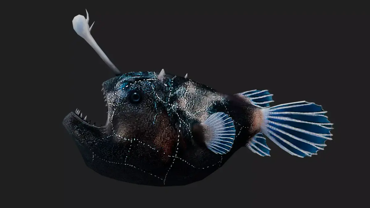 Monkfish Low-poly 3D model