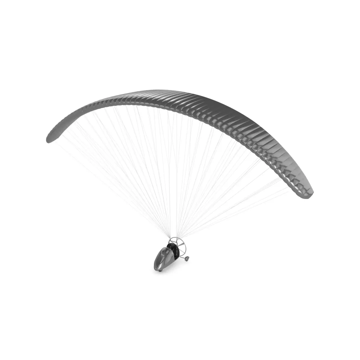 Powered Paraglider 3D model get