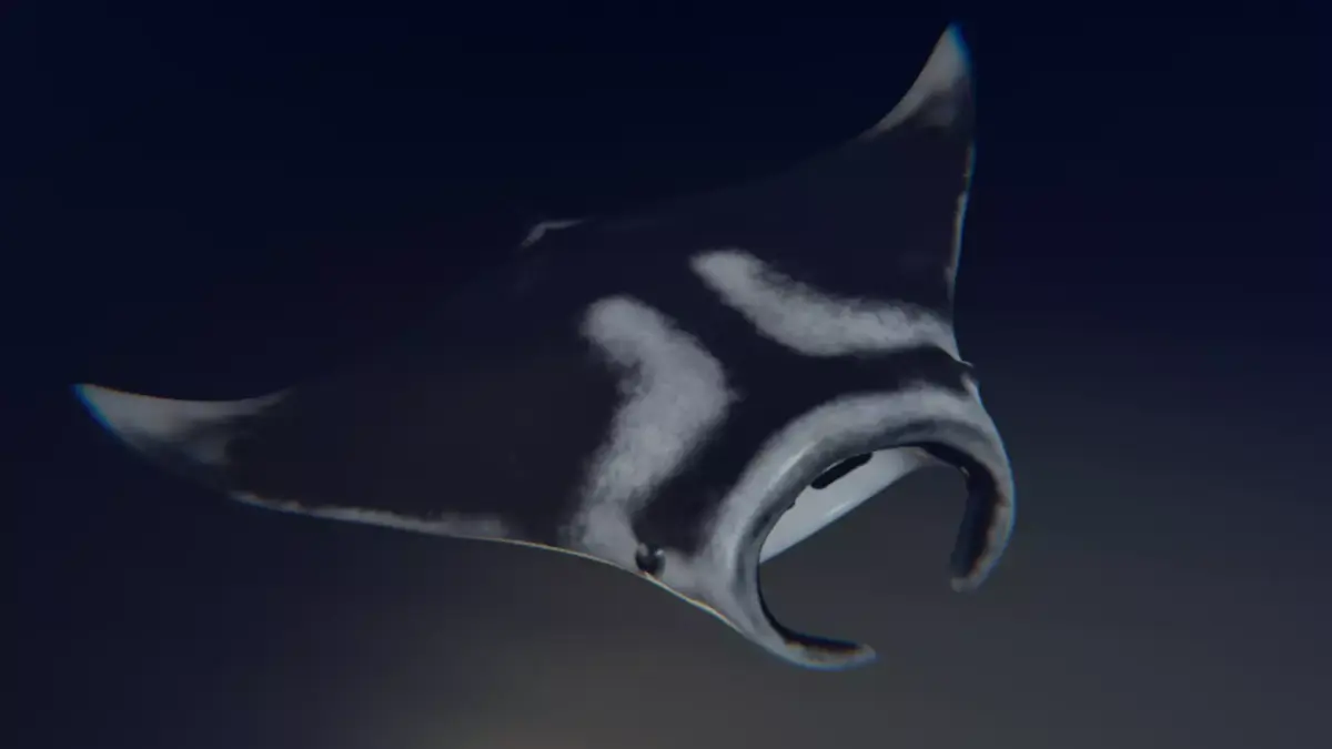 Realistic Giant Manta Ray - Mobula birostris 3D model