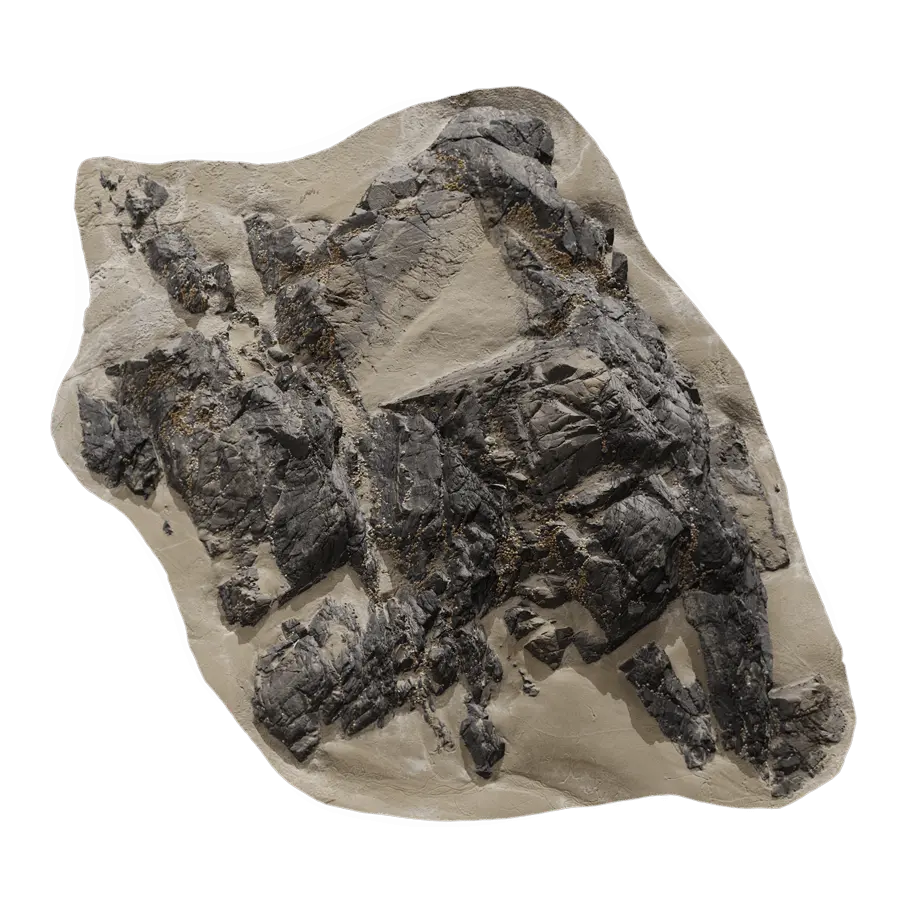  Medium Stepped Beach Rock Model  purchase