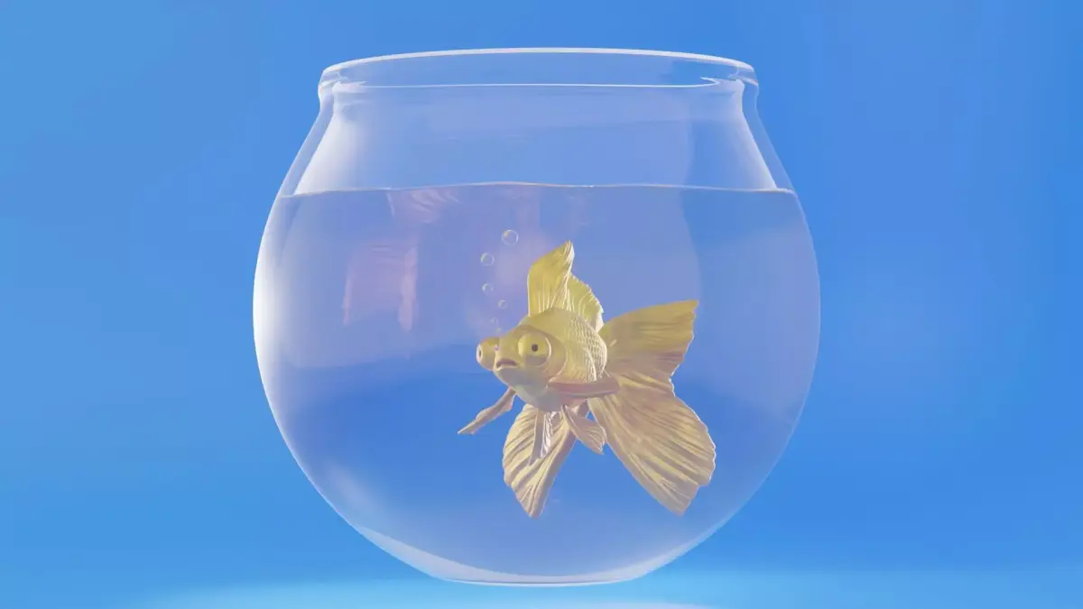 Goldfish aquarium 3D model