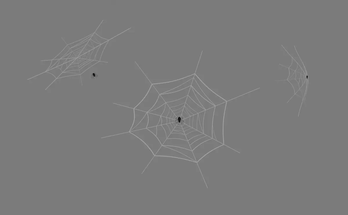 Web And Spider 3D model
