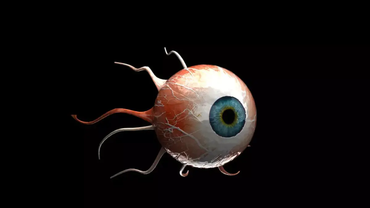 Eye 3D Model 3D model