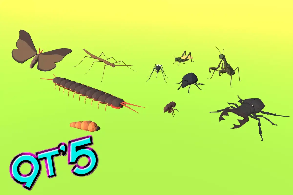 9t5 Low Poly Insects 2 Low-poly 3D model