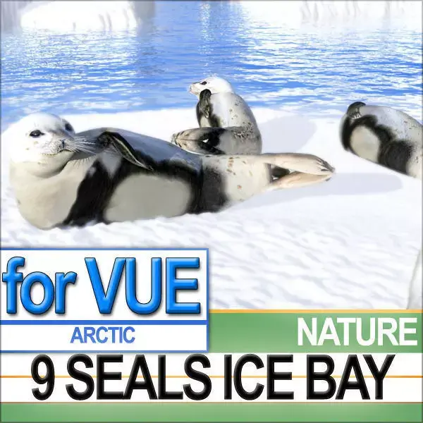 9 Seals 9 Arctic Bay 3D model