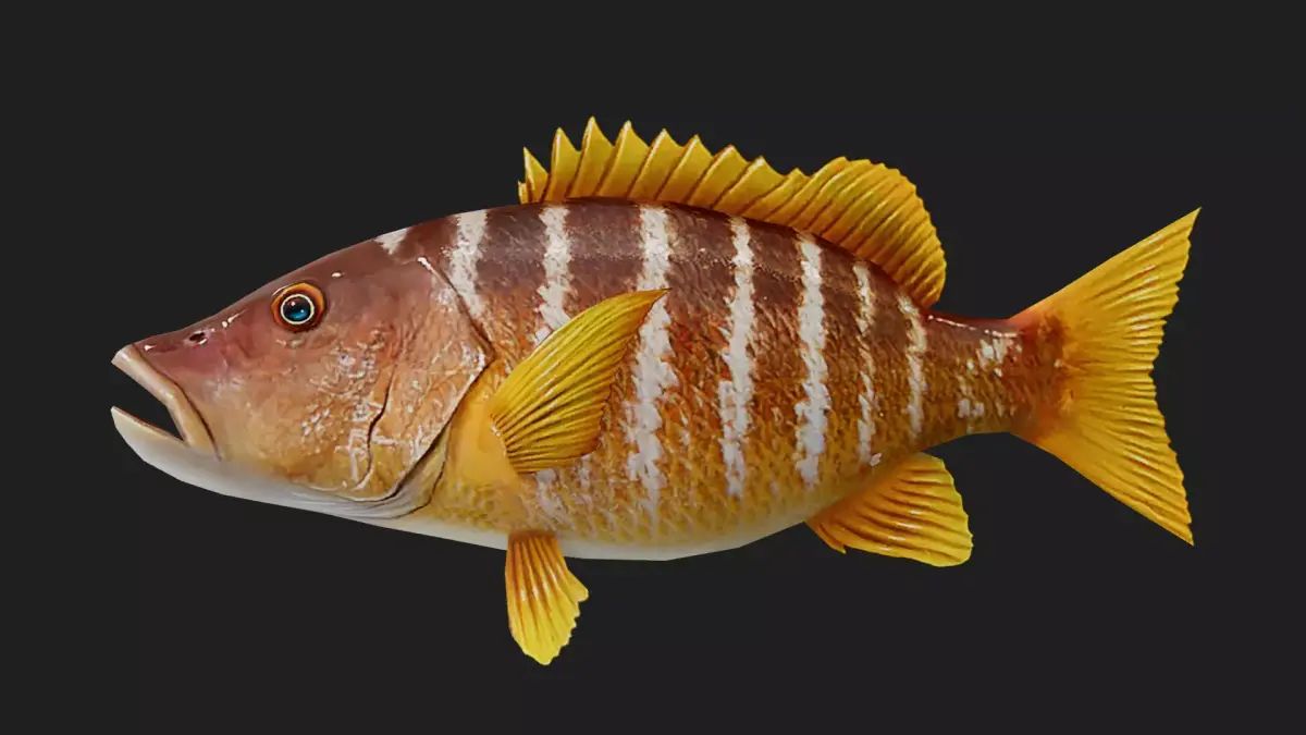 Snapper Low-poly 3D model 2