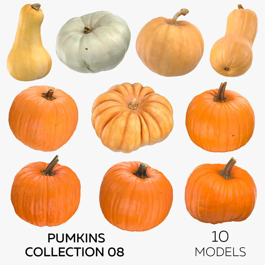 Pumkins Collection 08 - 10 models 3D model