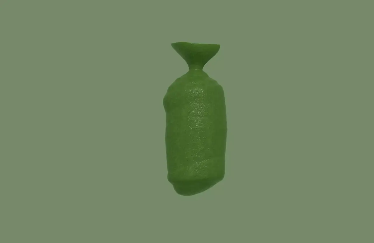 Cocoon 3D model